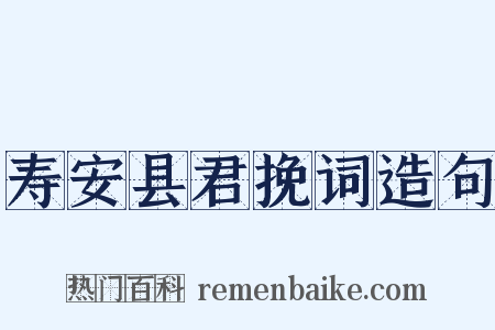 寿安县君挽词造句是什么意思的图片